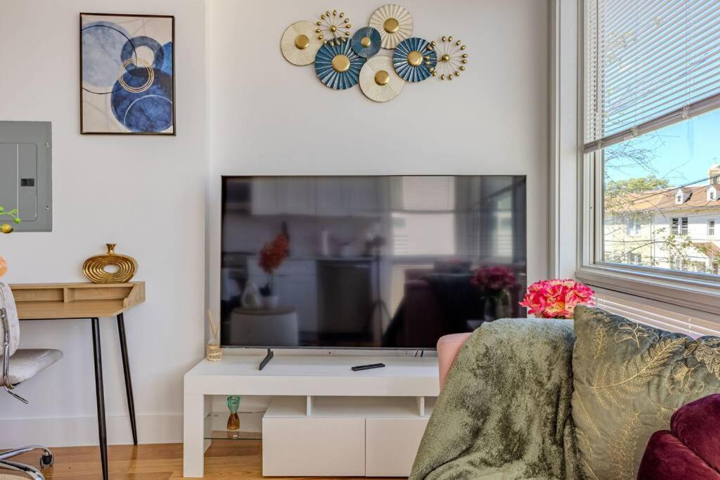 Stylish, Modern & Cozy Apartment Washington