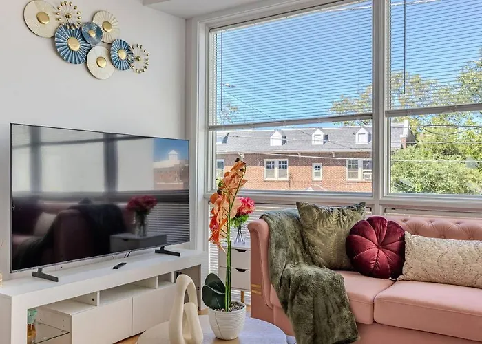 Stylish, Modern & Cozy