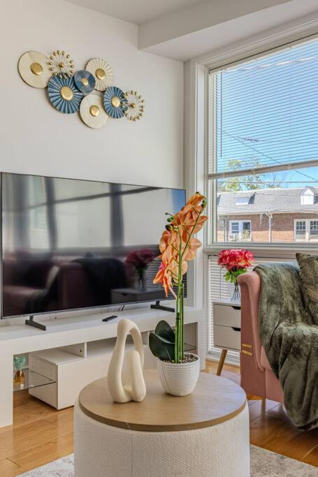 Stylish, Modern & Cozy Apartment Washington